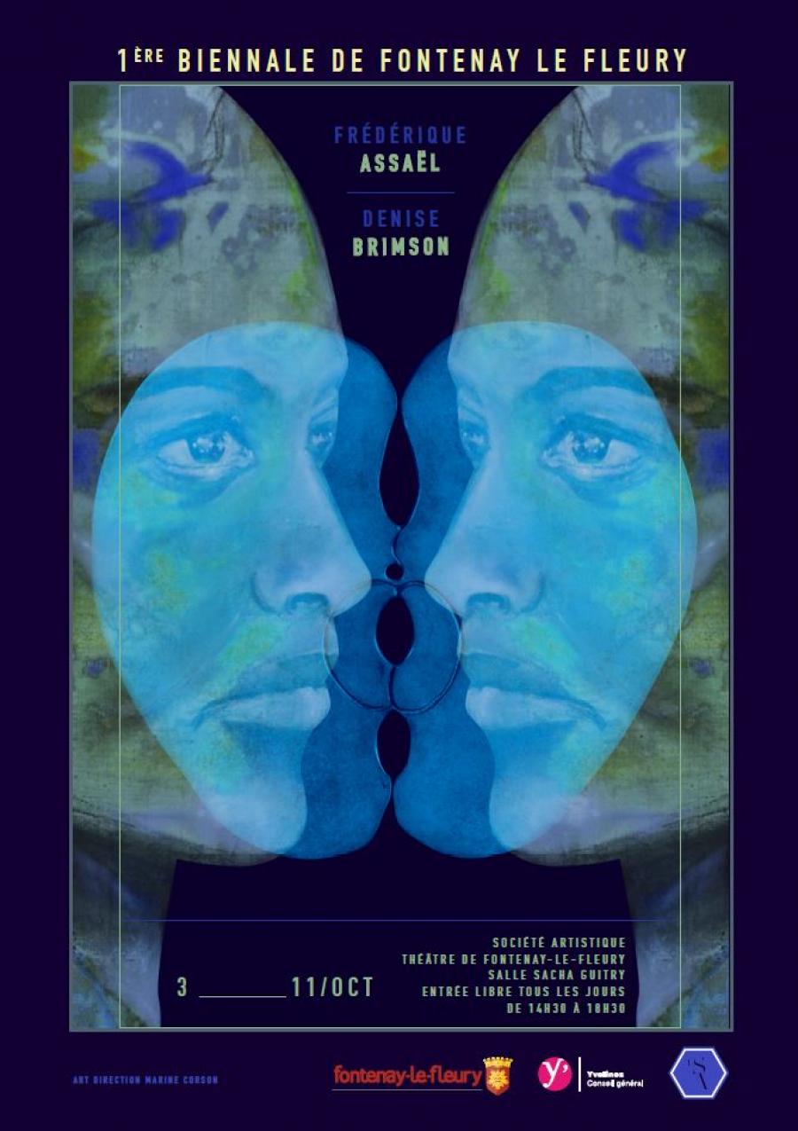 affiche-salon-2015-vd-m88s