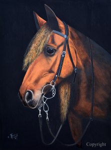 cheval_copyright_m