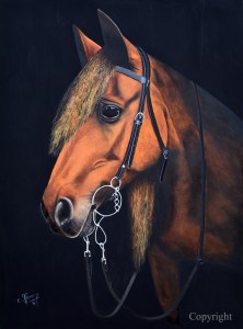 cheval_copyright_m