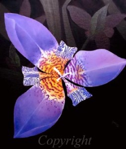 coeur-d-orchidee