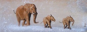 elephants